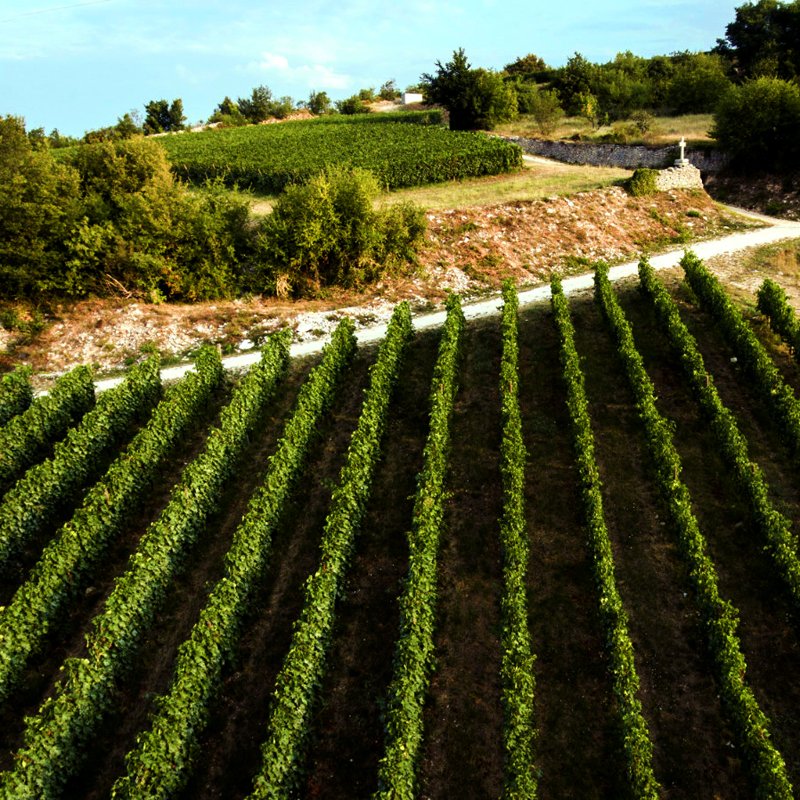 Il vino è come l’arcobaleno – Vini Tedeschi in&nbsp;Valpolicella