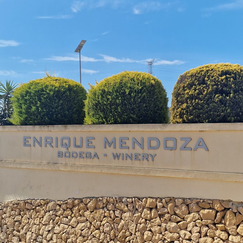 Monastrell e Alicante, una bella&nbsp;scoperta.