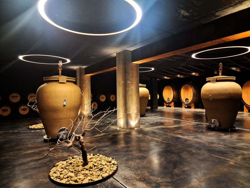 La bottaia della cantina con botti ai lati e al centro grandi anfore illuminate da luci circolari.