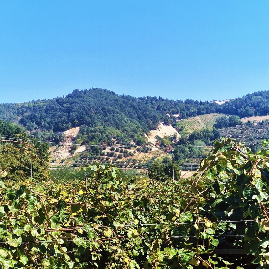 Modigliana, stella dell’Appennino