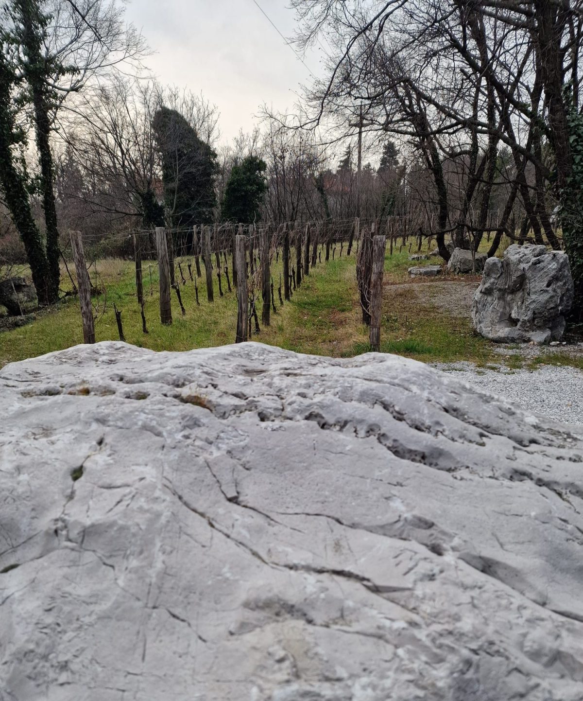 Il Carso: fascino di una terra di&nbsp;confine