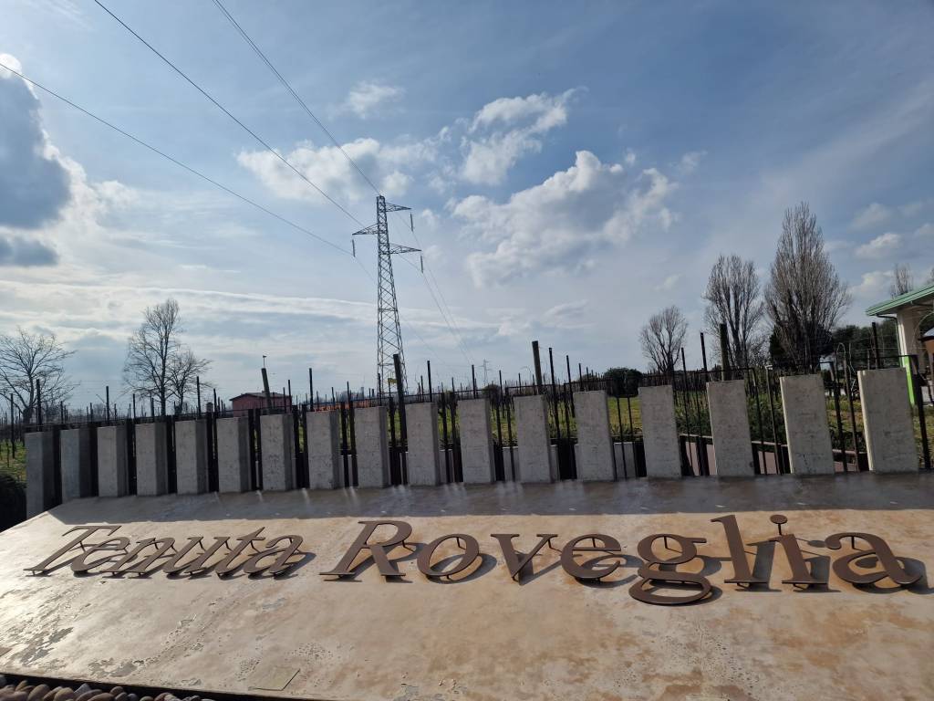 Una storia d’amore in Lugana: Tenuta&nbsp;Roveglia