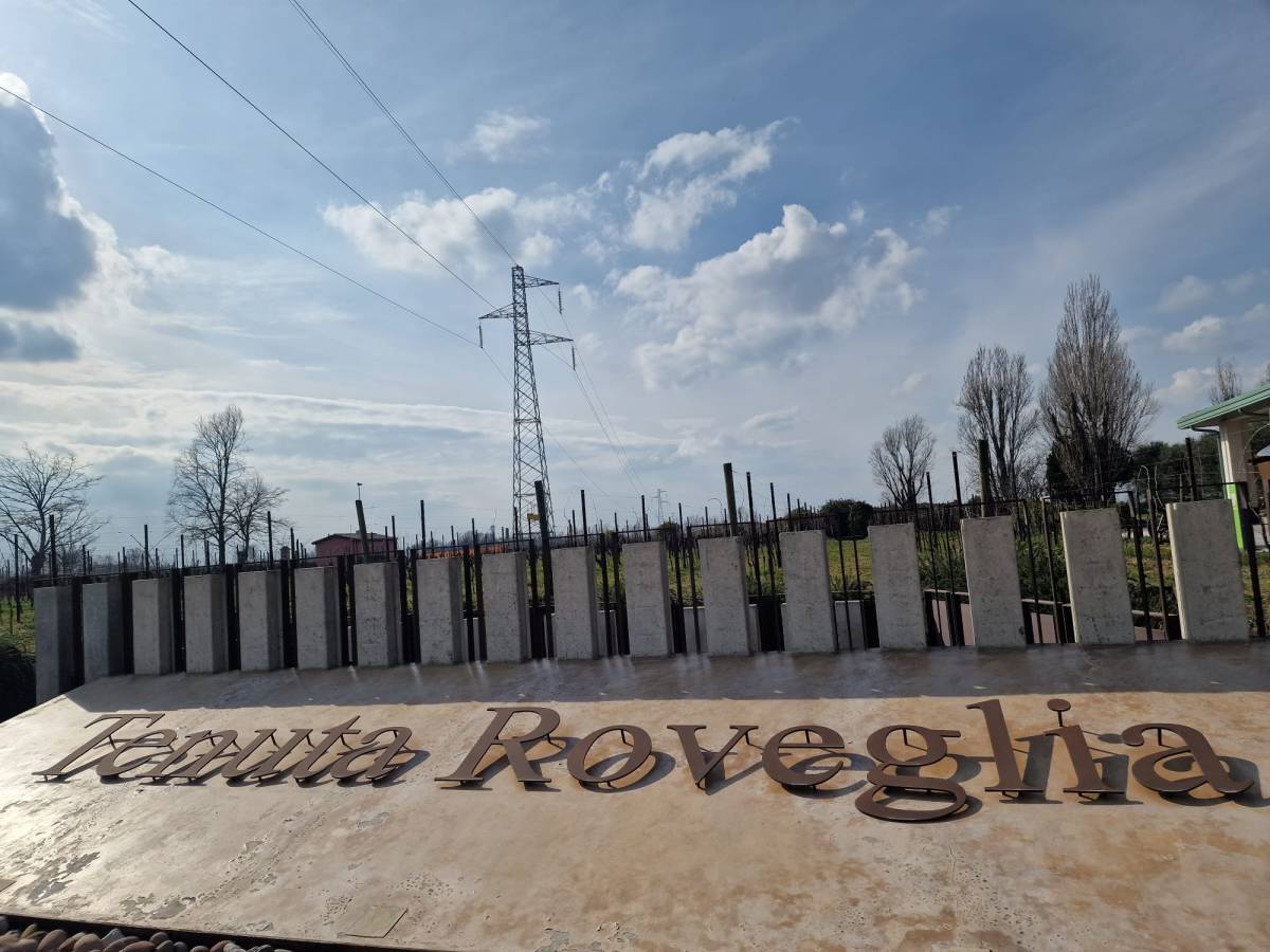 Una storia d’amore in Lugana: Tenuta&nbsp;Roveglia