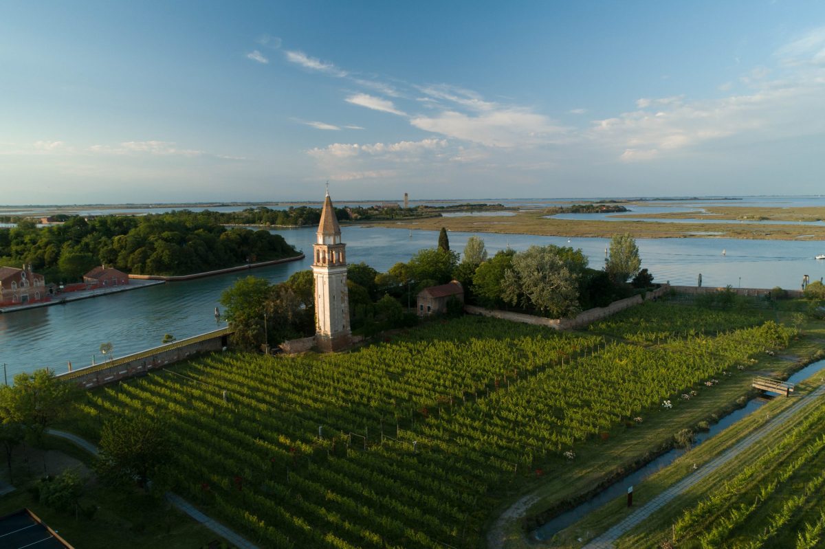 Venissa, la Venezia che&nbsp;sorprende
