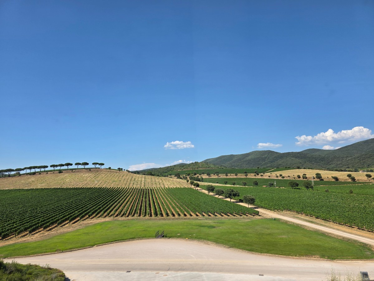 Fattoria Le Pupille e Le Mortelle: due interpretazioni della&nbsp;Maremma