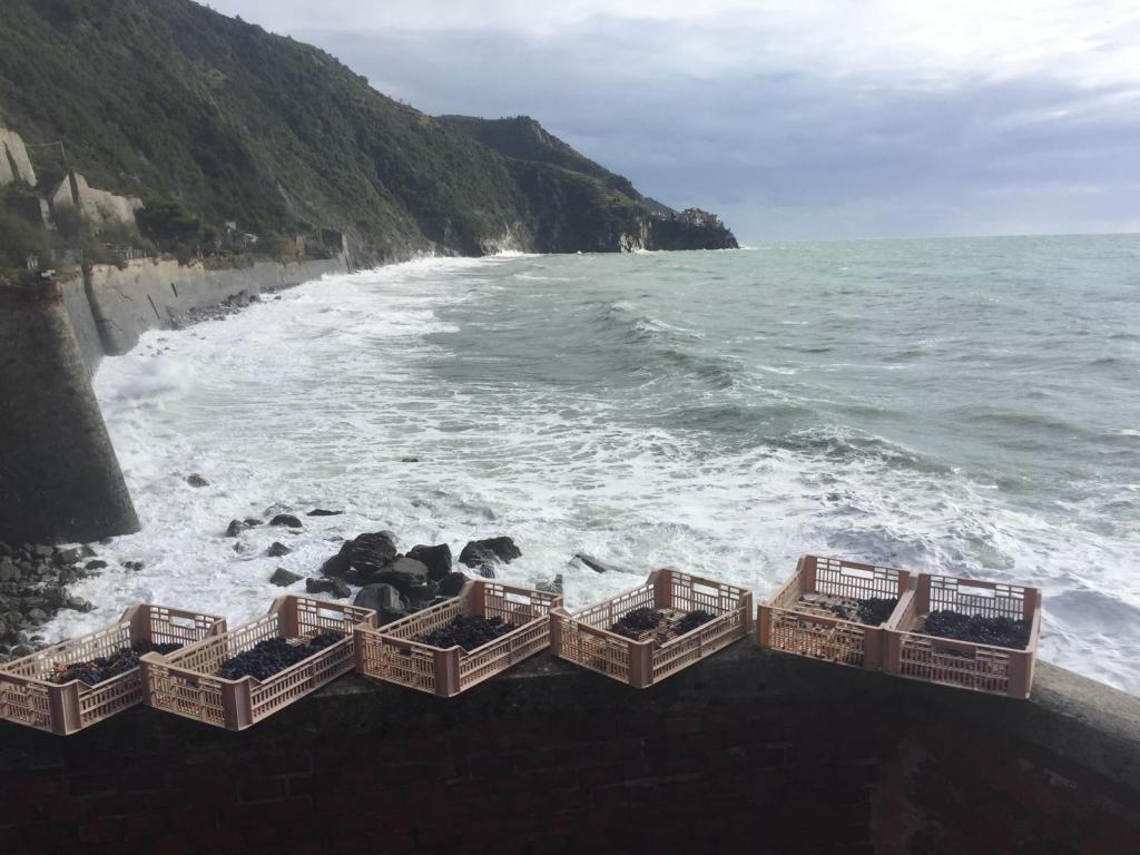Ittiturismo Corniglia: mare, terra e passione