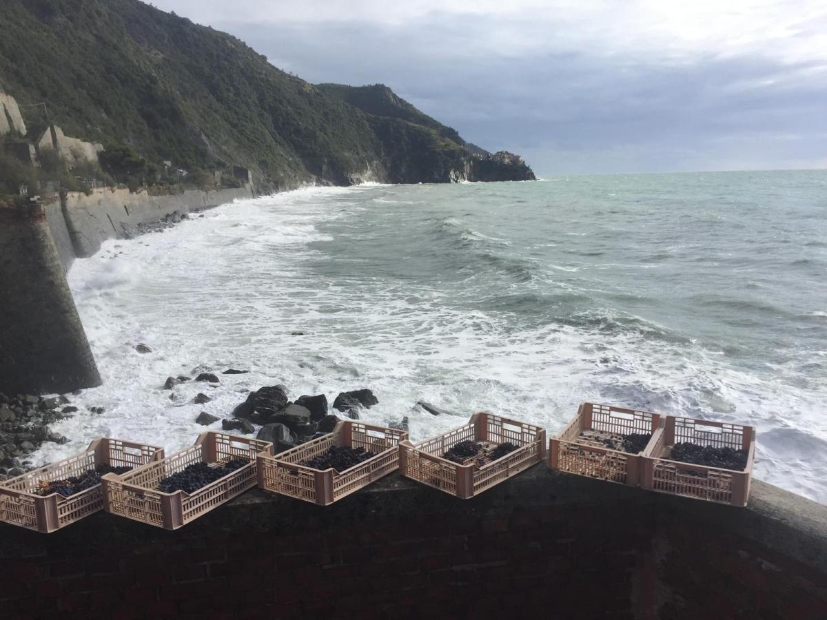 Ittiturismo Corniglia: mare, terra e&nbsp;passione